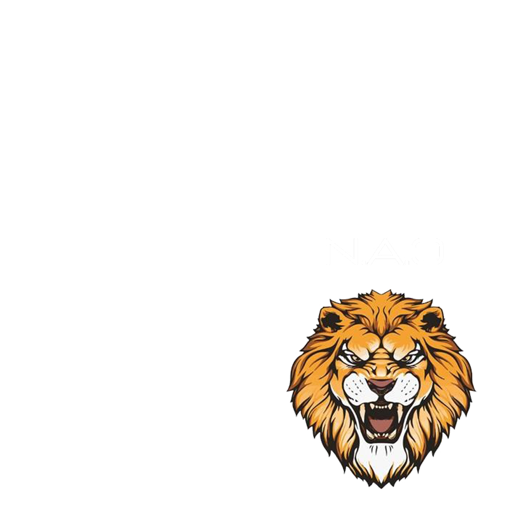 logo Team LS4B et Noble Art Ovillois